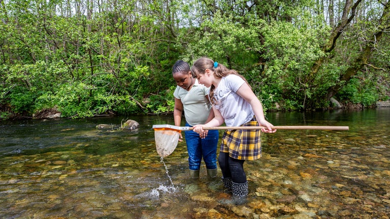 Two children standing in the shallows of a river examining what they have caught in a net